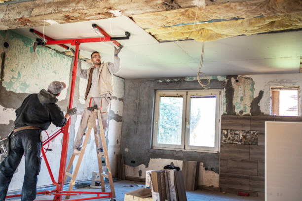 Insulation Inspection Services in Wolf Lake, MI