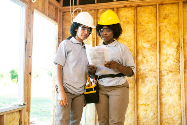 Best Insulation for New Construction  in Wolf Lake, MI